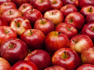 پودر سیب بهترین میوه برای مریض نشدن